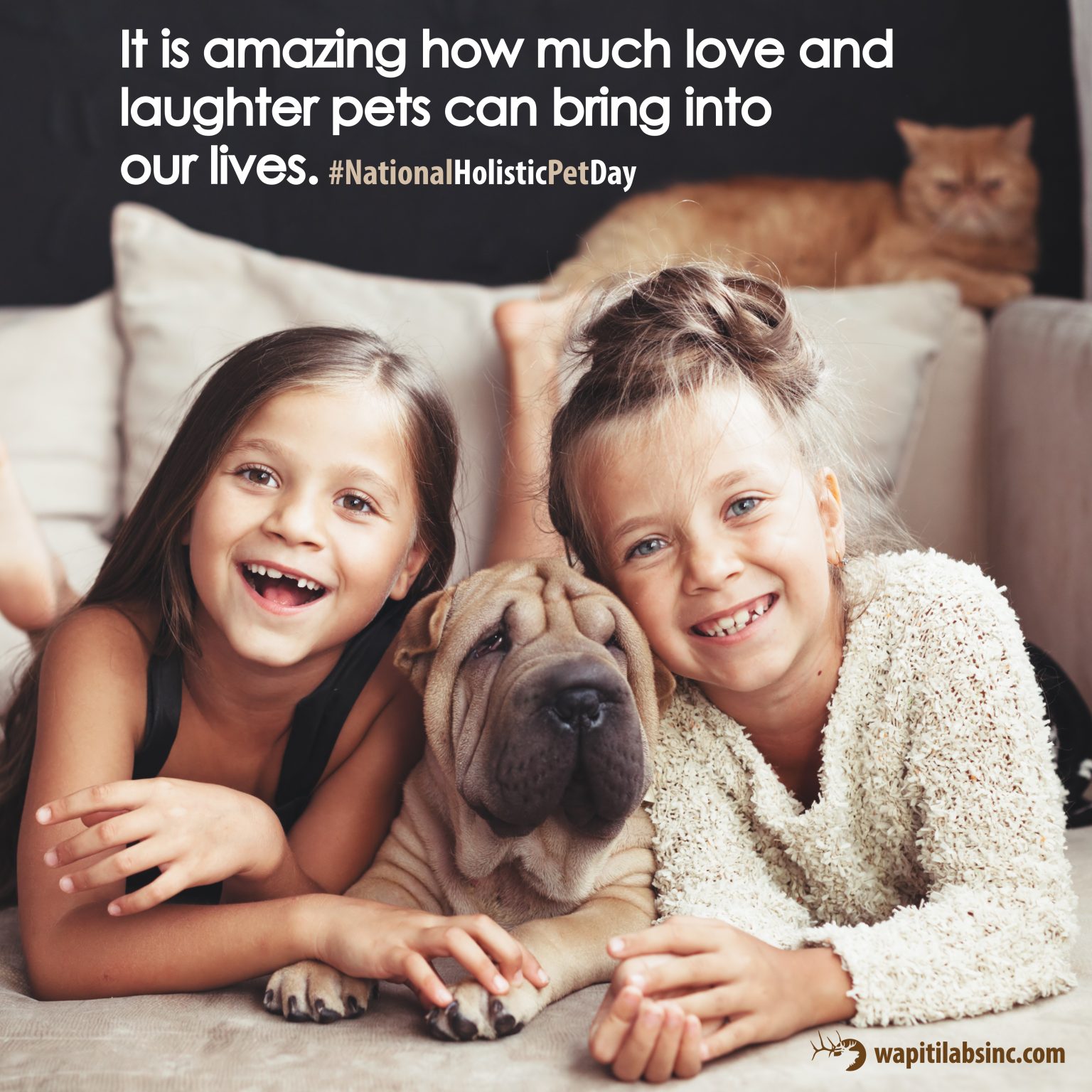 National Holistic Pet Day Wapiti Labs Inc
