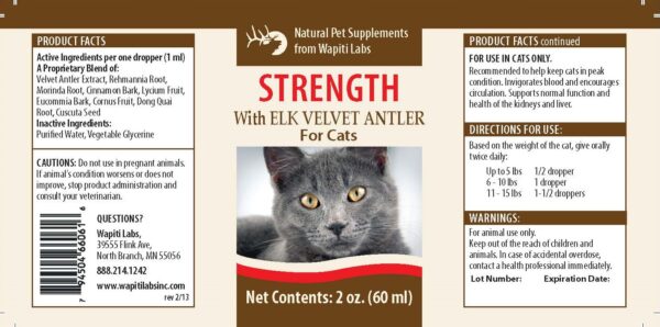 Strength Cat Tincture Pr