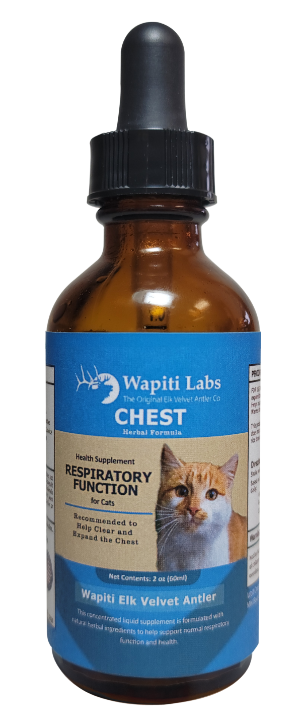 Chest Herbal Supplement Formula for Cats