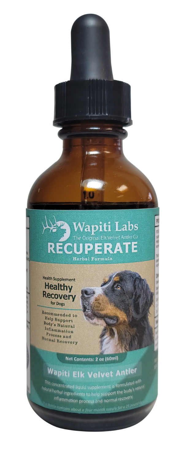 Recuperate Herbal Supplement Formula for Dogs