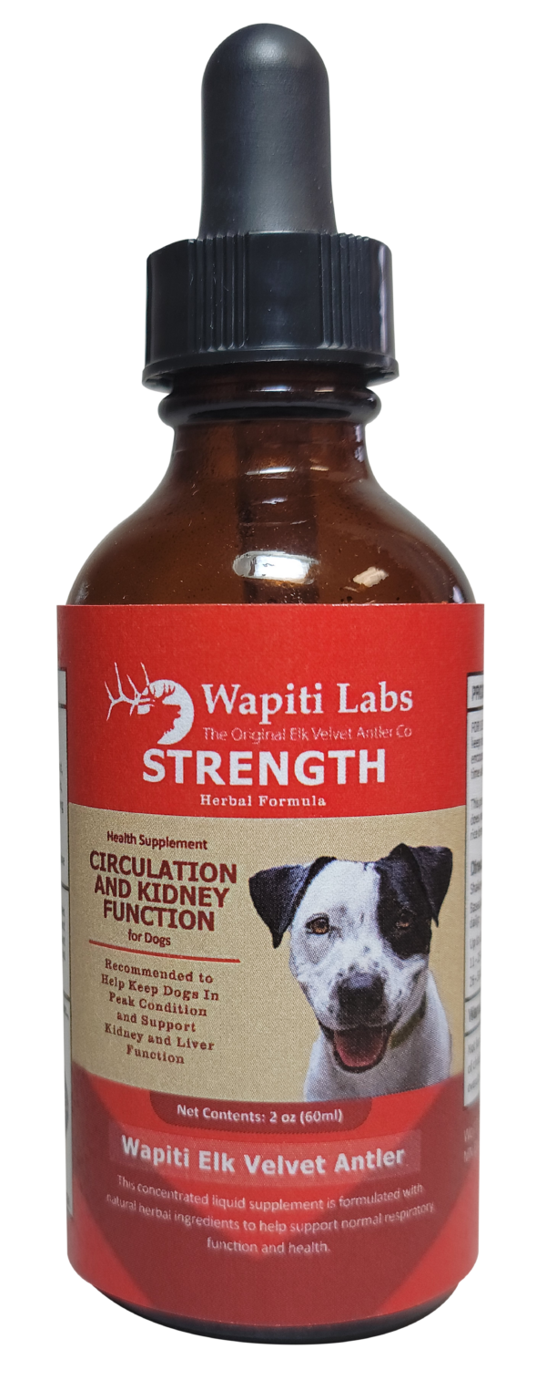Elk Velvet Antler Strength Supplement for Dogs