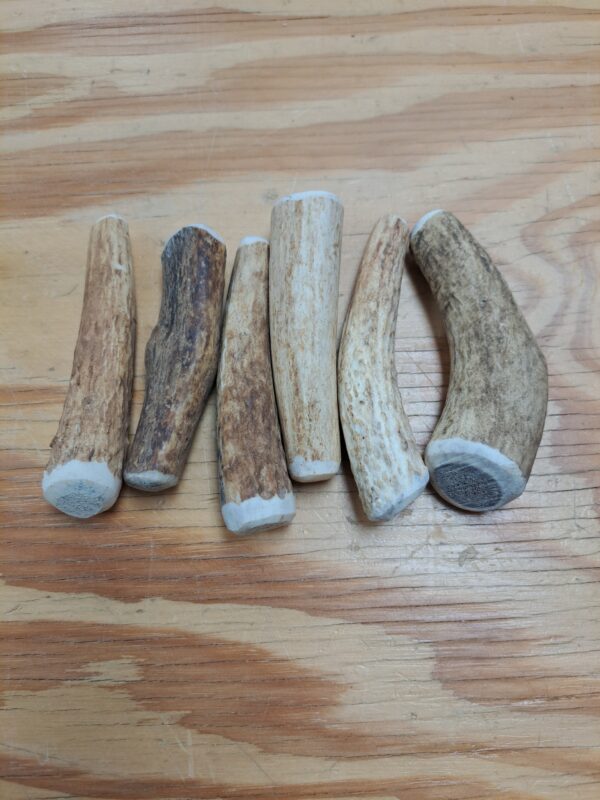 Bulk Pack #1