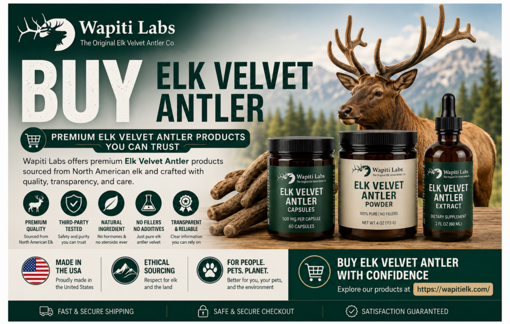 Buy Elk Antler